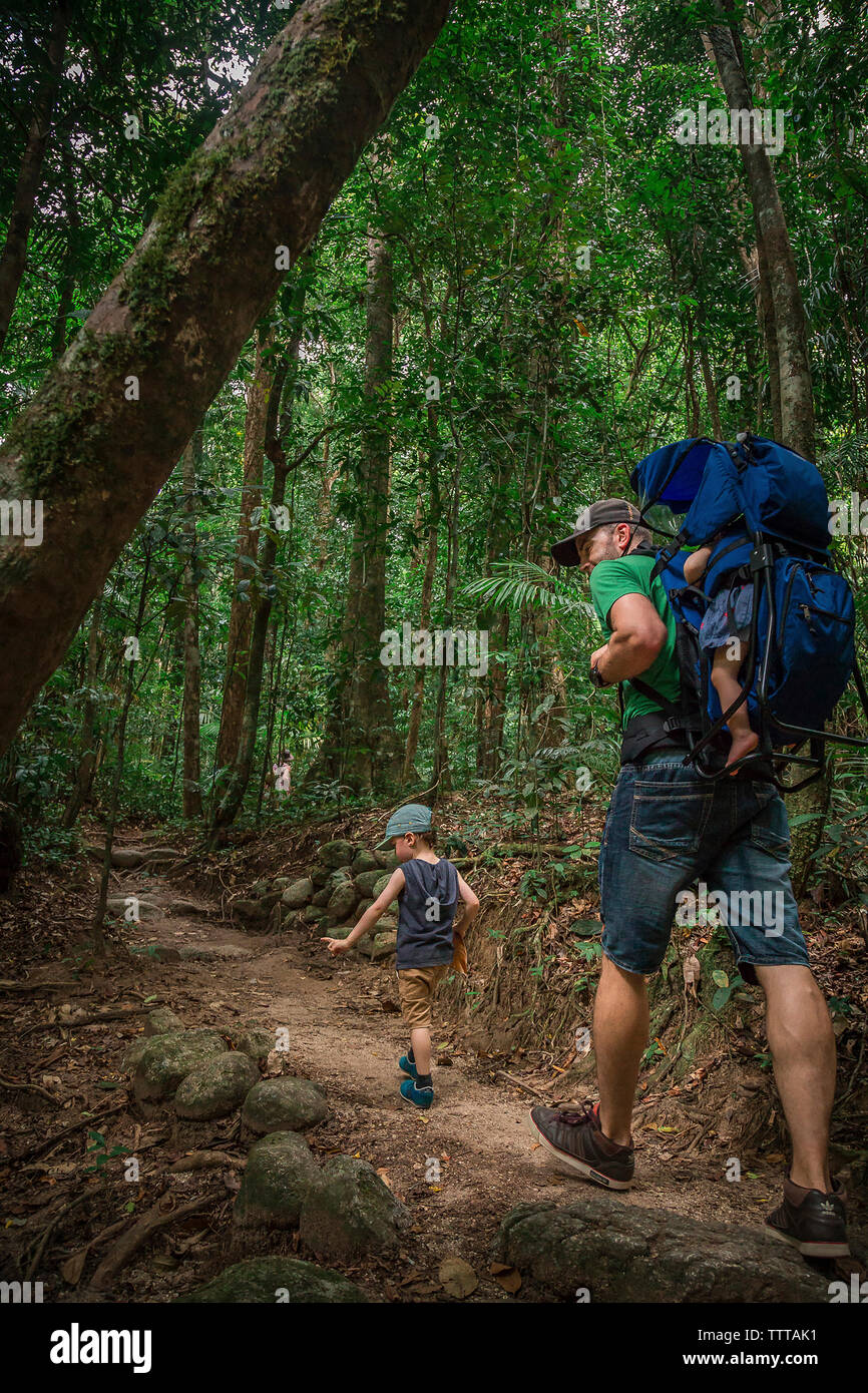 Padre con bambini escursioni in foresta Foto Stock