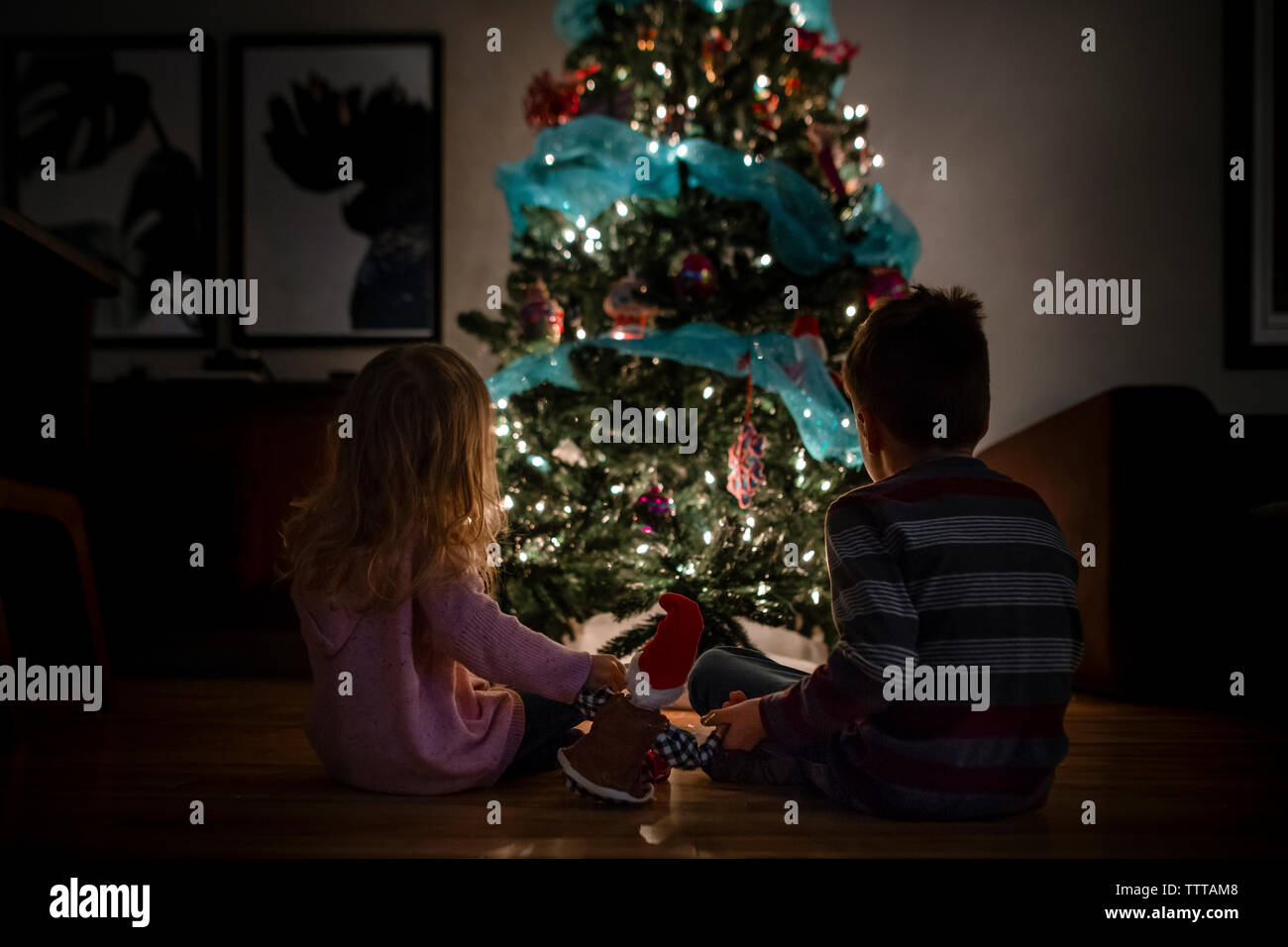 I fratelli mantenendo le loro elf durante la visione di un albero di Natale Foto Stock