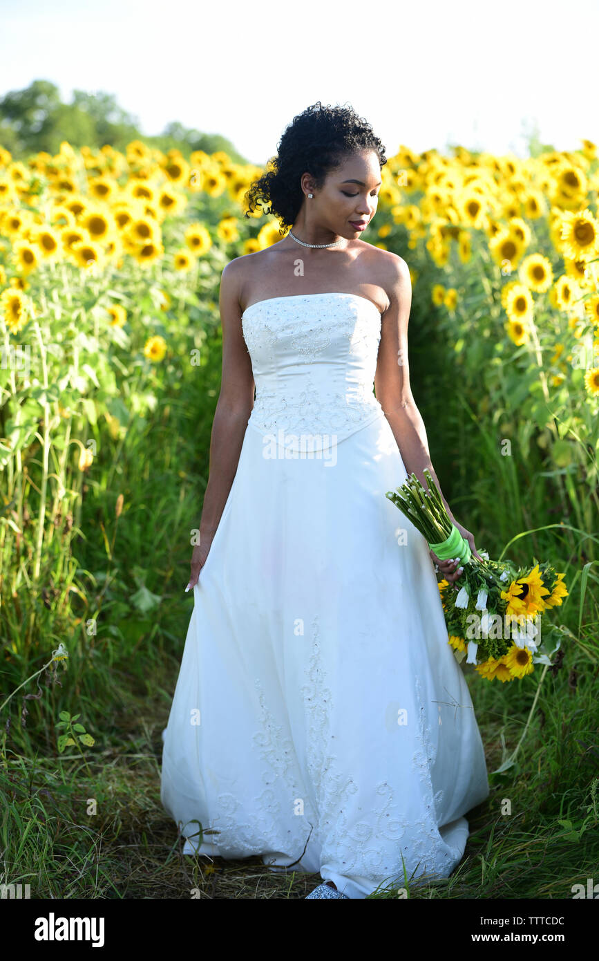 Sposa bouquet di contenimento mentre in piedi in mezzo a campi di girasoli a farm contro sky Foto Stock