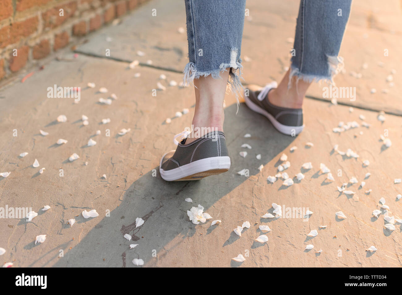 Grigio sneakers retroilluminata con petali di fiori Foto Stock