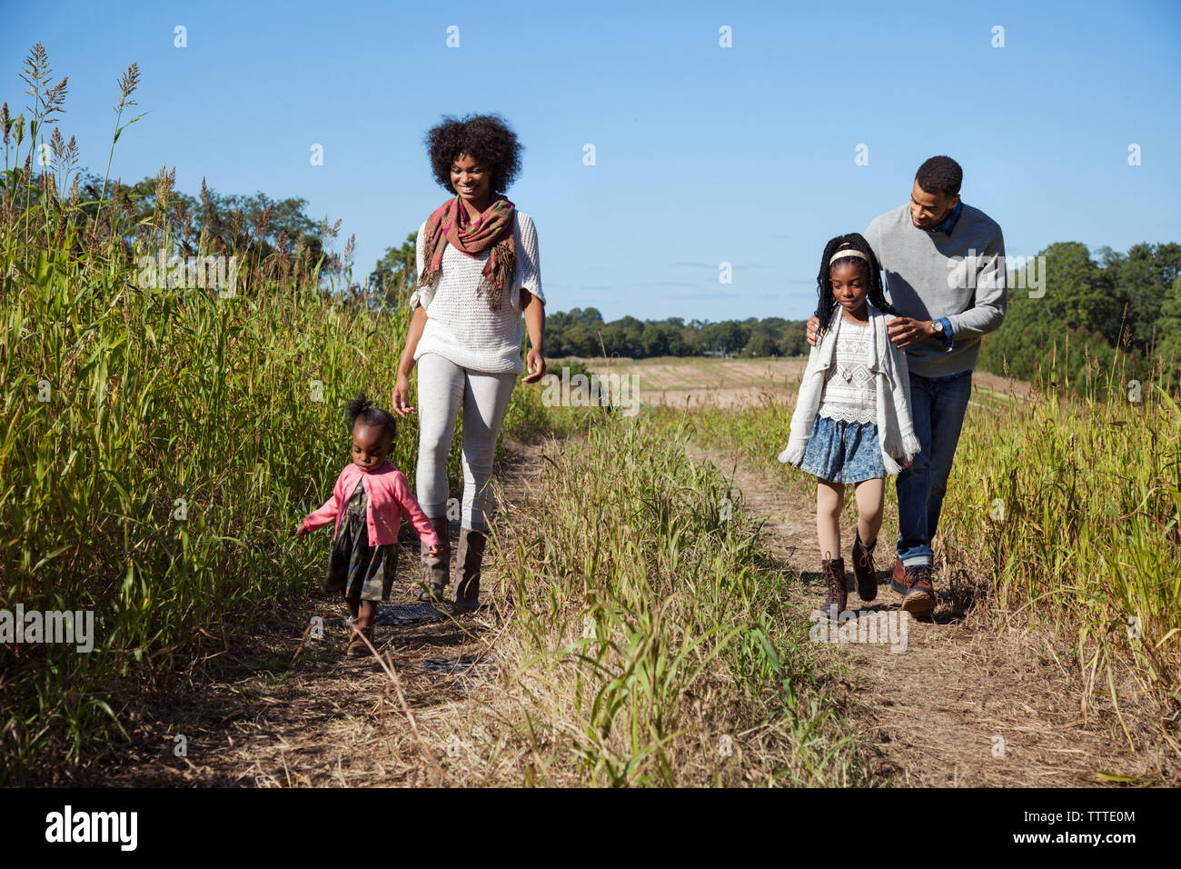 La famiglia felice camminando sul campo erboso contro il cielo blu Foto Stock