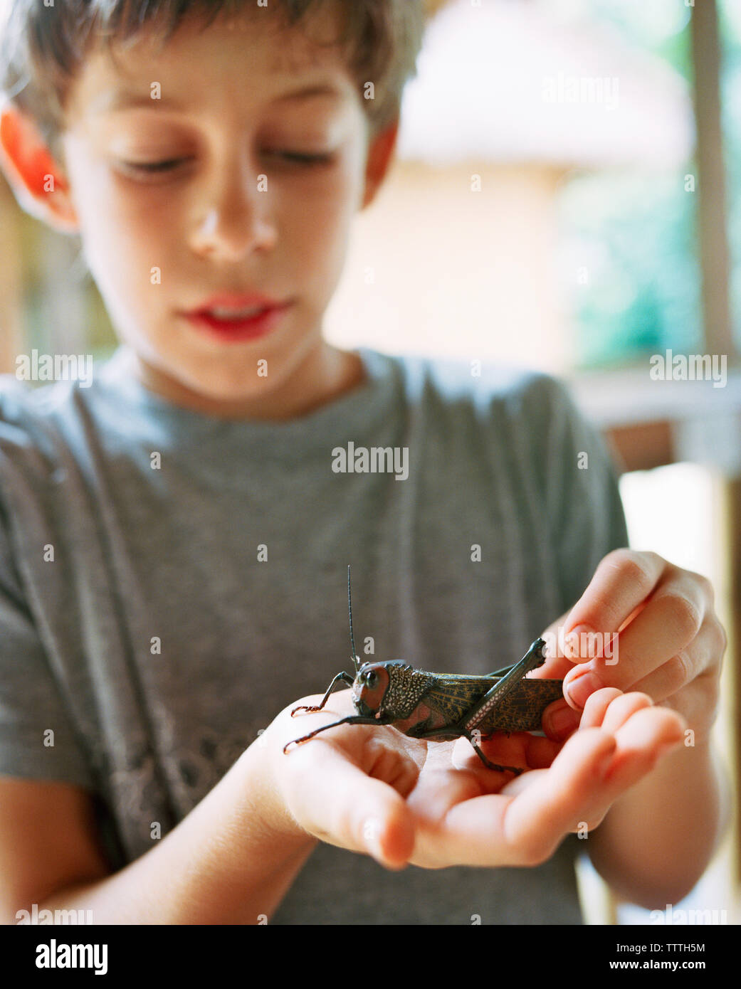 Il Perù, la foresta pluviale amazzonica, Sud America, America Latina, ragazzo tenendo un grasshopper Foto Stock