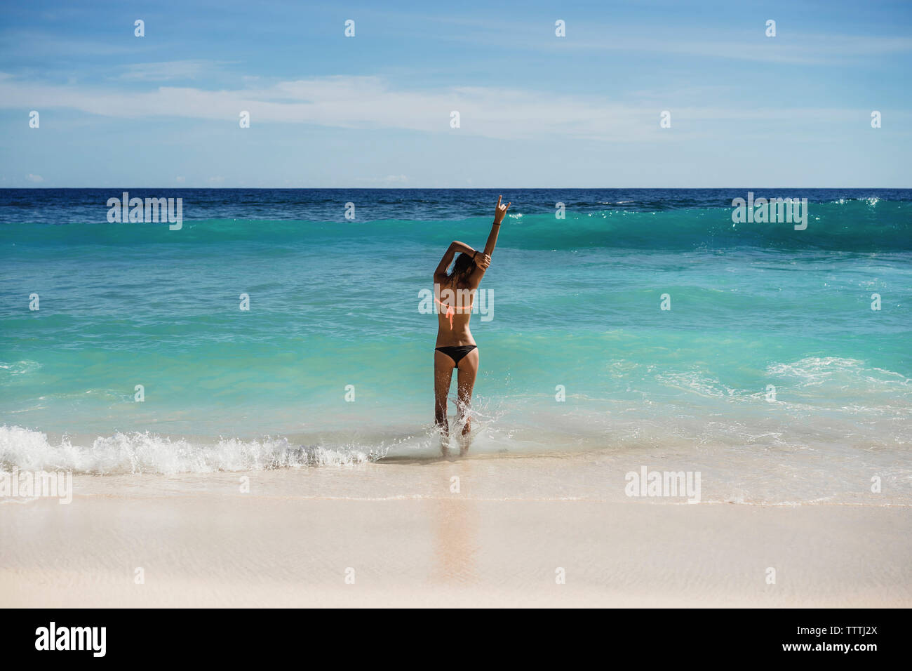 Vista posteriore della donna che indossa un bikini mentre si sta in piedi sul litorale di spiaggia Foto Stock