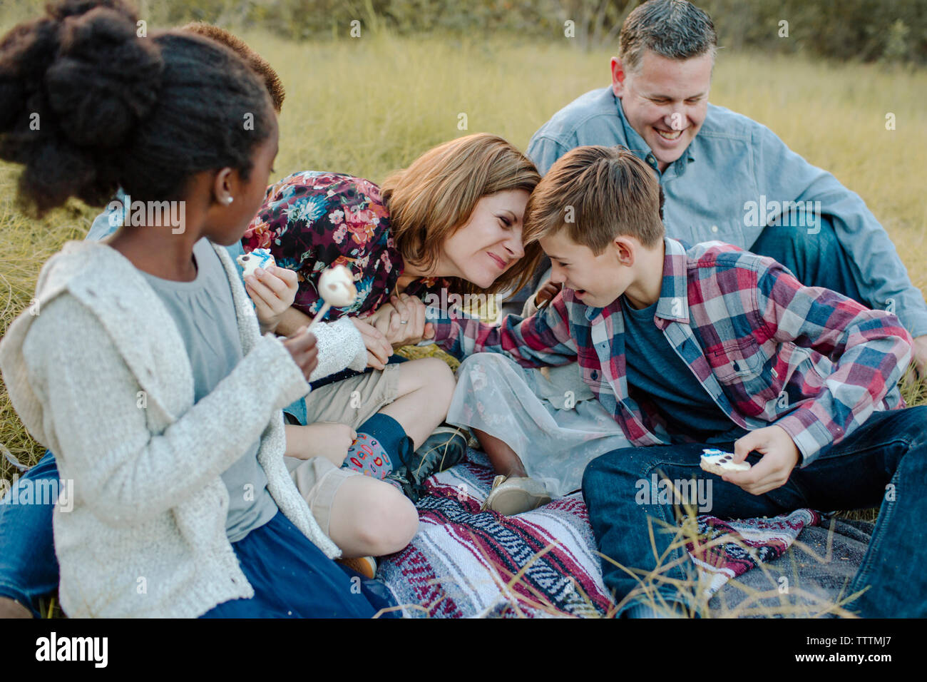 La famiglia felice sul campo durante il picnic al parco Foto Stock