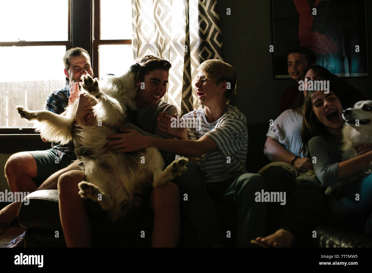 La famiglia felice a giocare con i cani seduti a casa Foto Stock