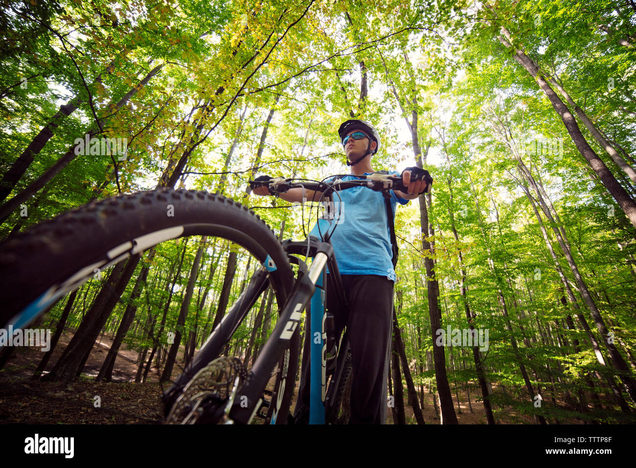 Basso angolo vista del ciclista maschio in bicicletta nella foresta Foto Stock