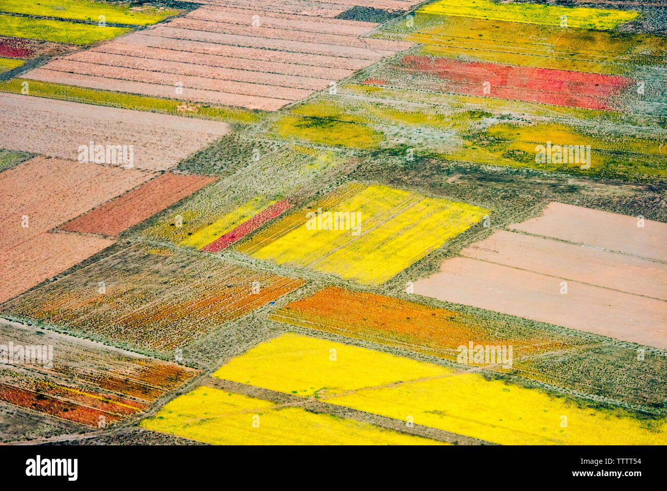 Vista aerea di terreni agricoli colorati, Uyuni, dipartimento di Potosi, Bolivia Foto Stock