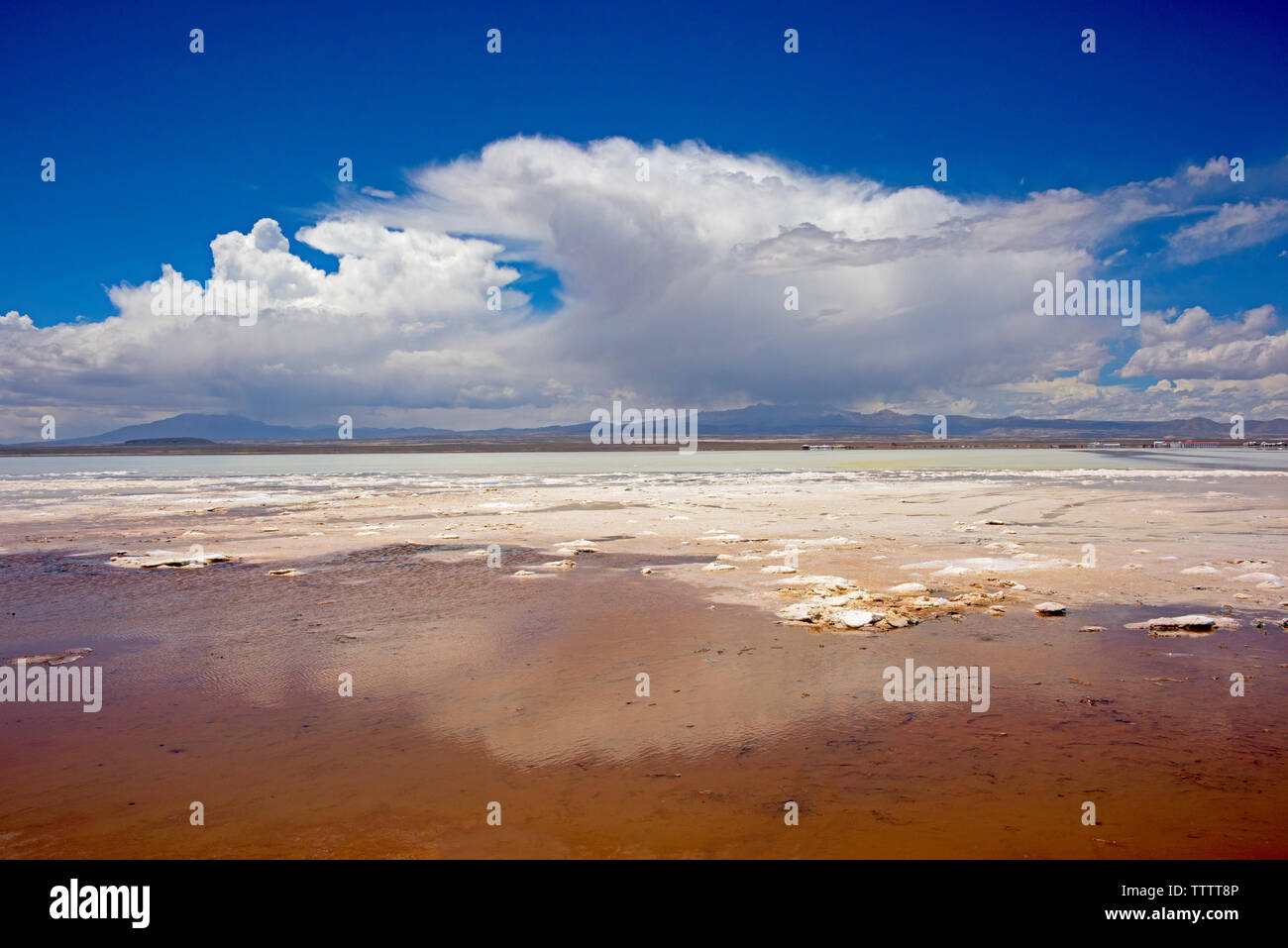 Distesa di sale coperte con acqua che riflette le nuvole nel cielo, Salar de Uyuni, dipartimento di Potosi, Bolivia Foto Stock