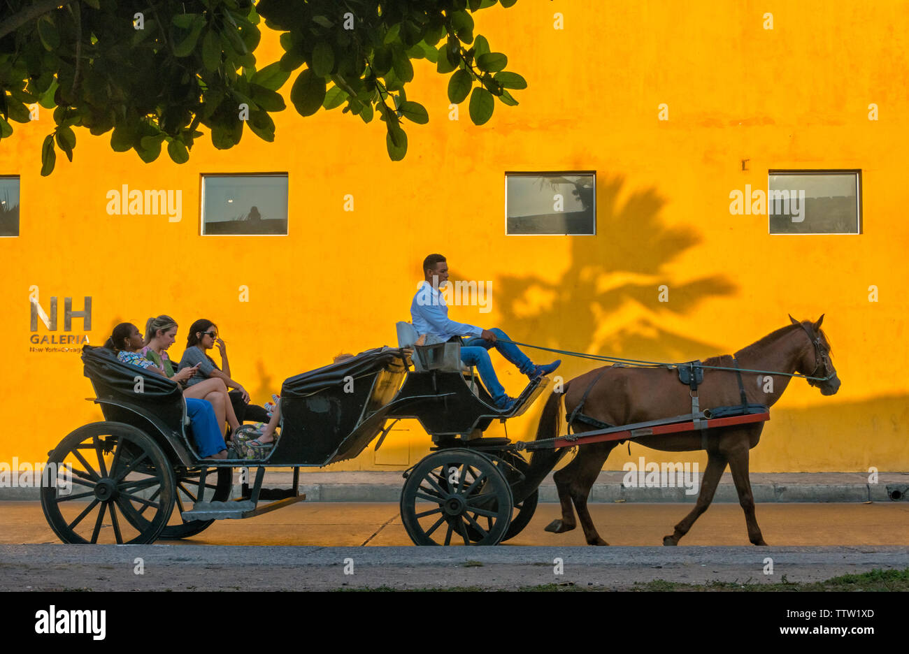 Carrozza a cavallo contro una parete gialla nella città vecchia, Cartagena, sito Patrimonio Mondiale dell'UNESCO, Dipartimento di Bolivar, Colombia Foto Stock