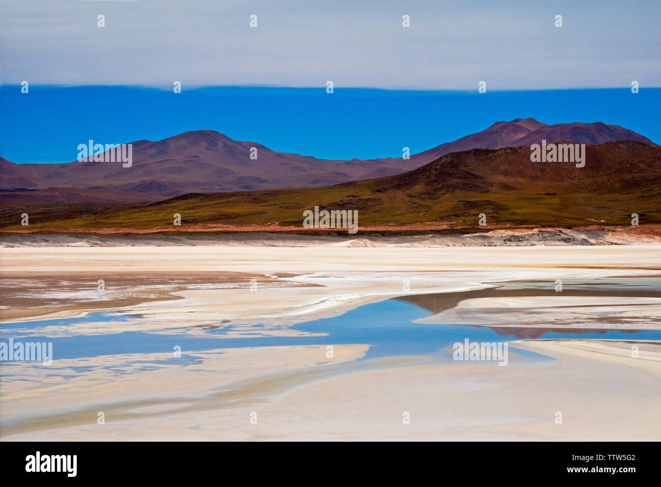 Laguna Salar de talari, San Pedro de Atacama, Regione di Antofagasta, Cile Foto Stock