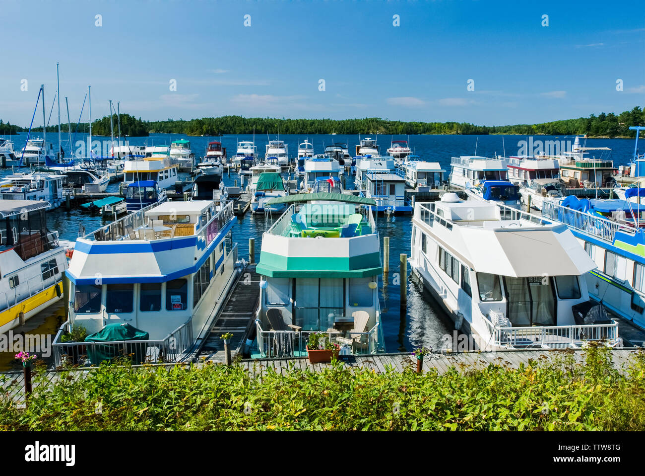 Nord del porto, il lago dei boschi vicino a Kenora, Northwestern Ontario, Ontario, Canada Foto Stock