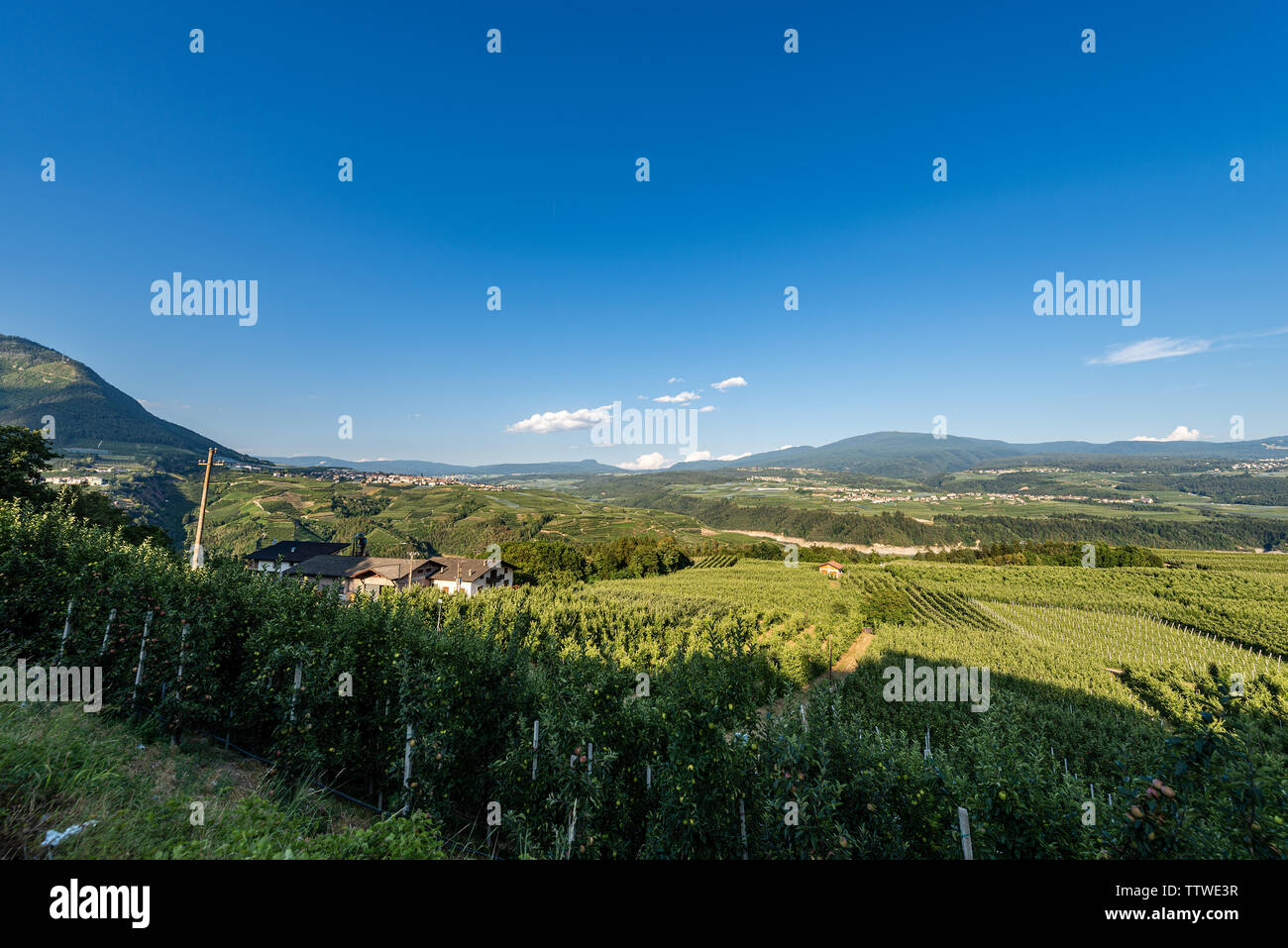 Val di Non (Val di Non) con frutteti e vigneti nei pressi di Cles. Trentino Alto Adige, Nord Italia, Europa Foto Stock