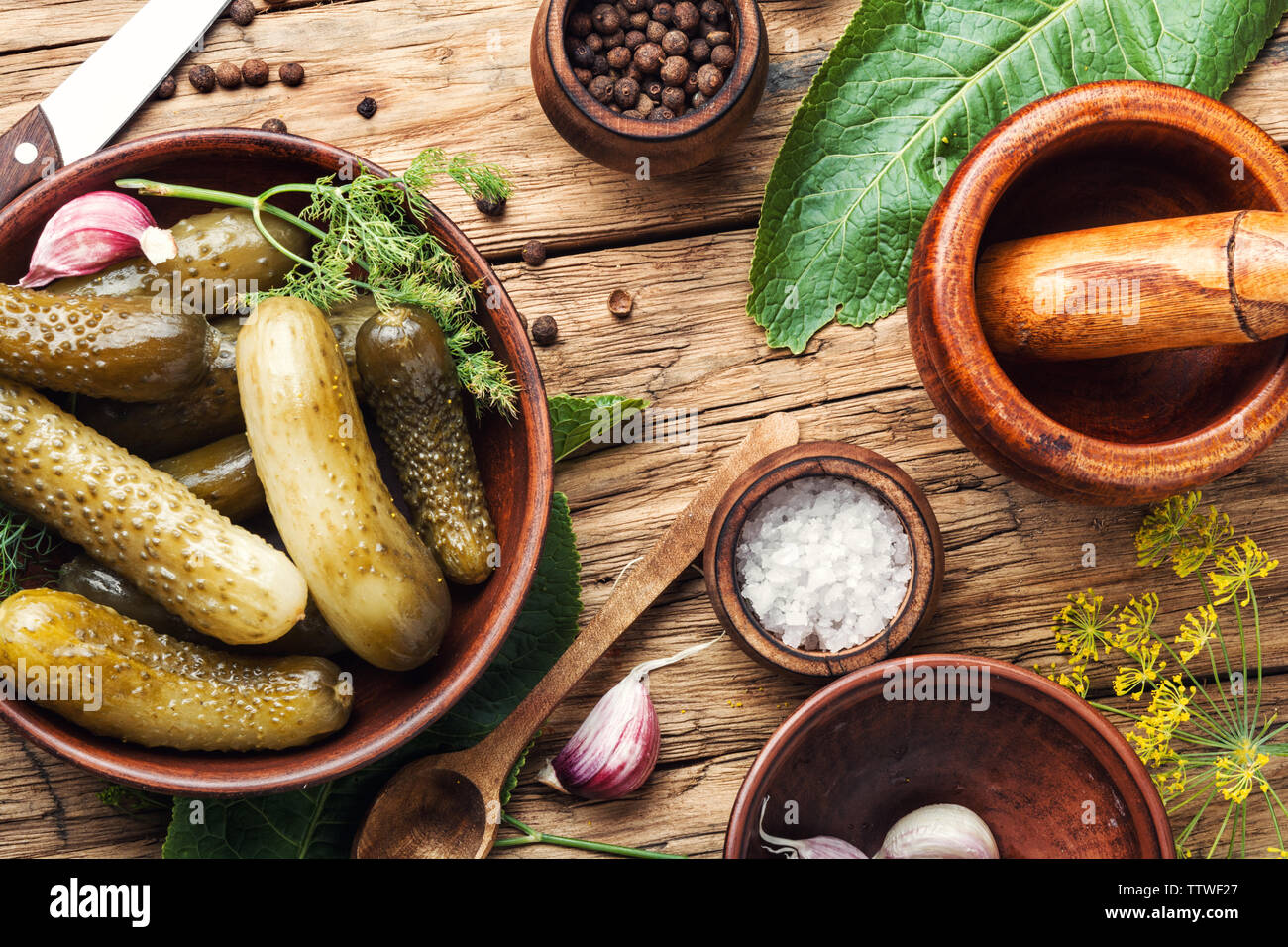 Marinata di cetrioli sottaceto.cetrioli sottaceto con erbe e spezie.Gli ingredienti per cucinare cetrioli sottaceto Foto Stock