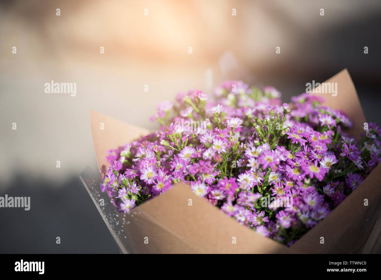 Viola bouquet di fiori con la luce del sole. Foto Stock