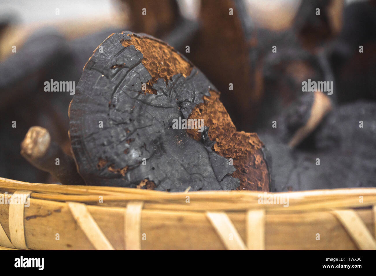 Ganoderma lucidum, tradizionale rifornimento di sangue pasto medicinali medicinali Cinesi materiali. Foto Stock