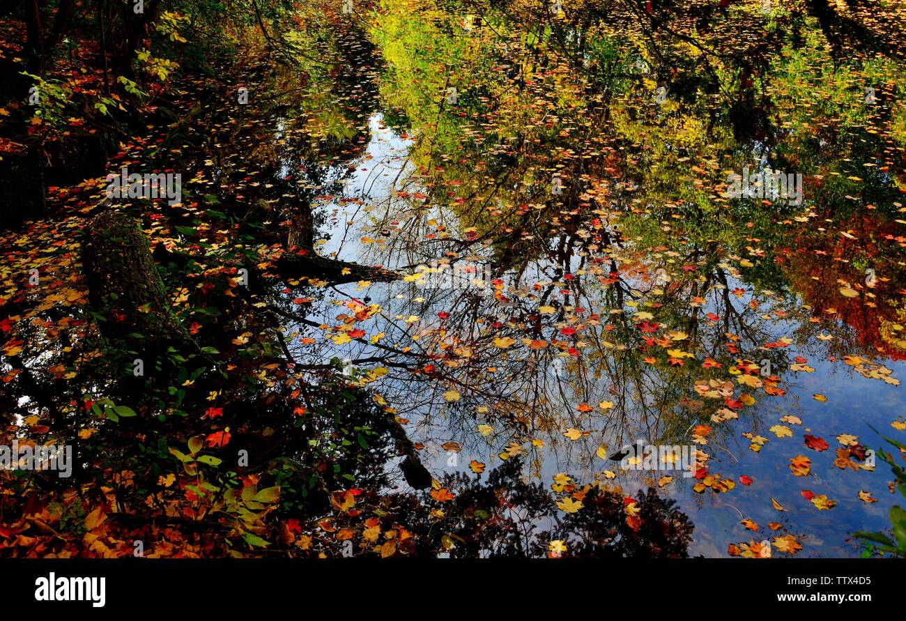 North Michigan Nikon D800 28-300 Foto Stock