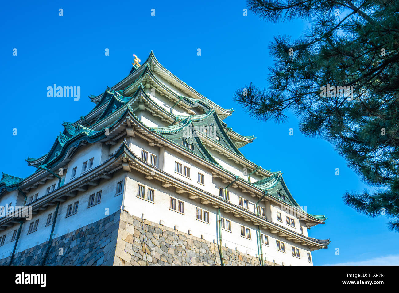 Nagoya, Giappone - 16 Febbraio 2019: mantenere principale del Castello di Nagoya in Nagoya, Giappone. Foto Stock