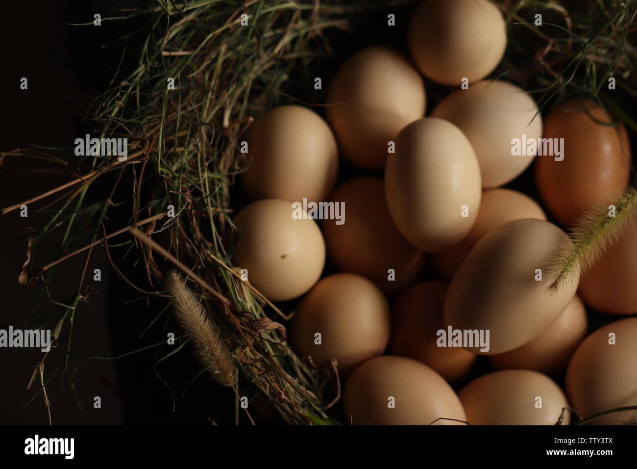 Agricoltore uova di suolo Foto Stock