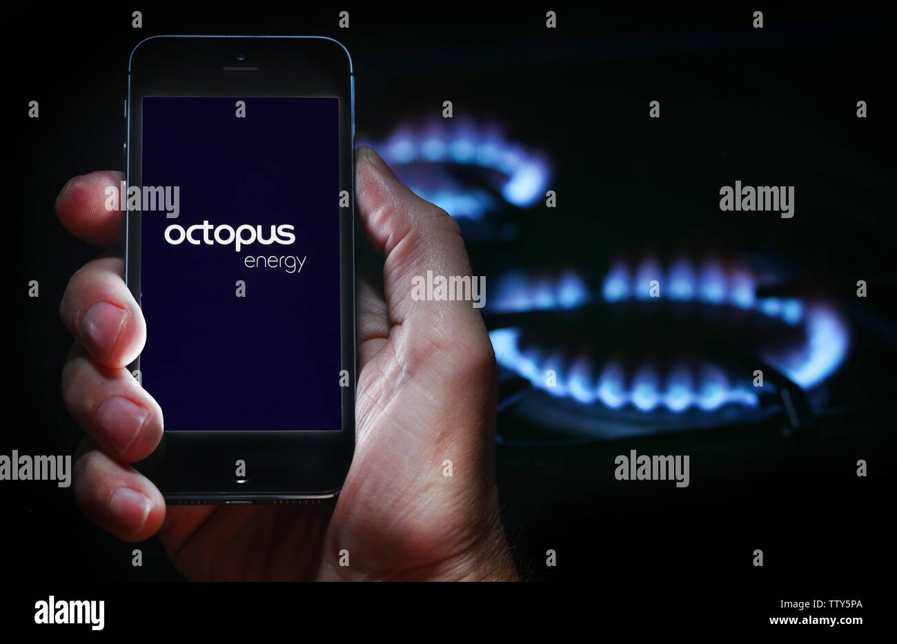 Un uomo che guarda il logo del sito web per la società di energia energia Octopus sul suo telefono cellulare nella parte anteriore della sua cucina a gas (solo uso editoriale) Foto Stock