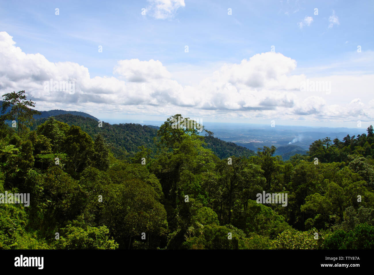 Vista ad angolo alto di una foresta, Isola di Langkawi, Malesia Foto Stock