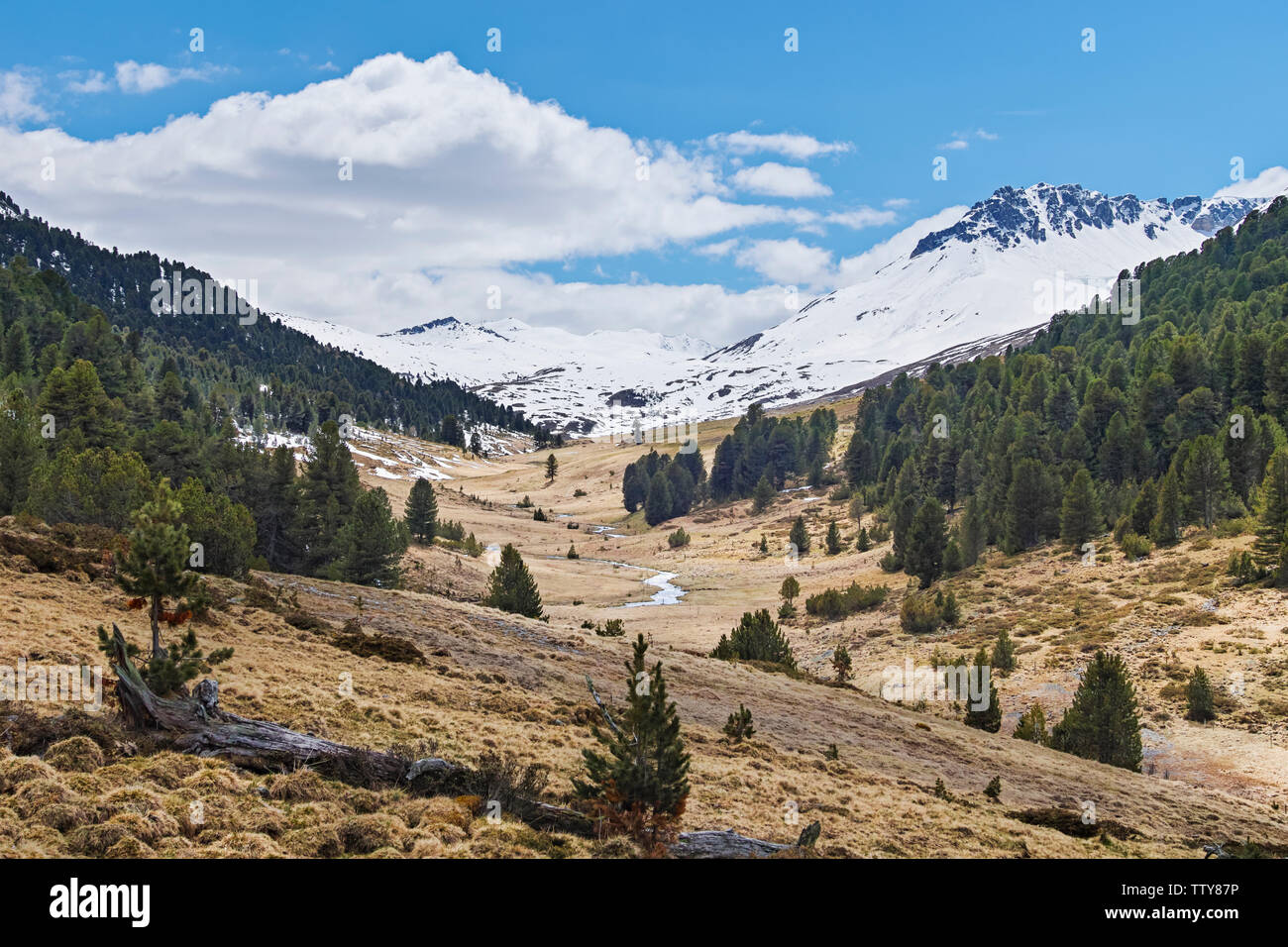 Il paesaggio delle Alpi Foto Stock