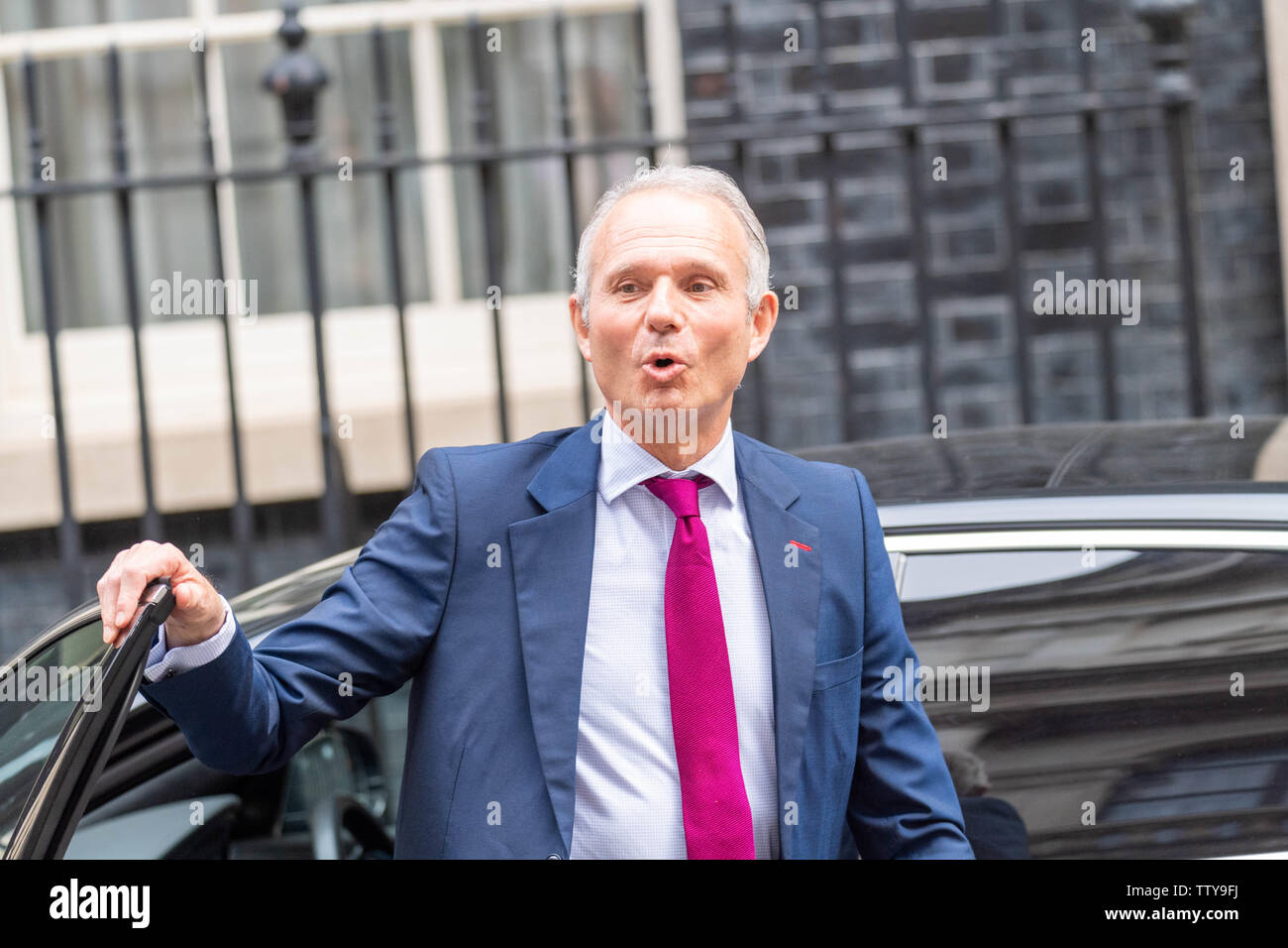 Londra, Regno Unito. Il 18 giugno, 2019. David Lidinton MP PC, Cabinet ministro arriva in una riunione del gabinetto a 10 Downing Street, Londra Credito: Ian Davidson/Alamy Live News Foto Stock