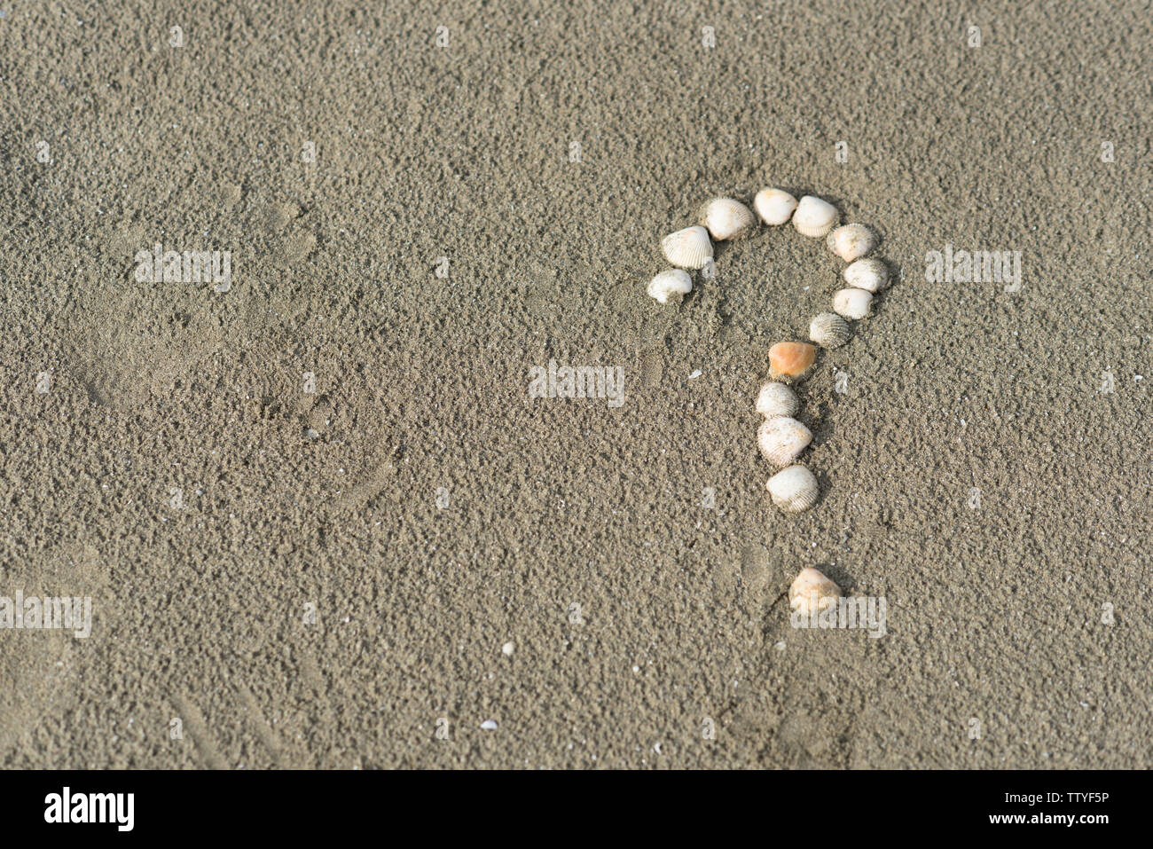 Mare gusci formanti un punto interrogativo su di una spiaggia di sabbia. Concetto di FAQ, consigli di viaggio e destinazioni di viaggio Foto Stock