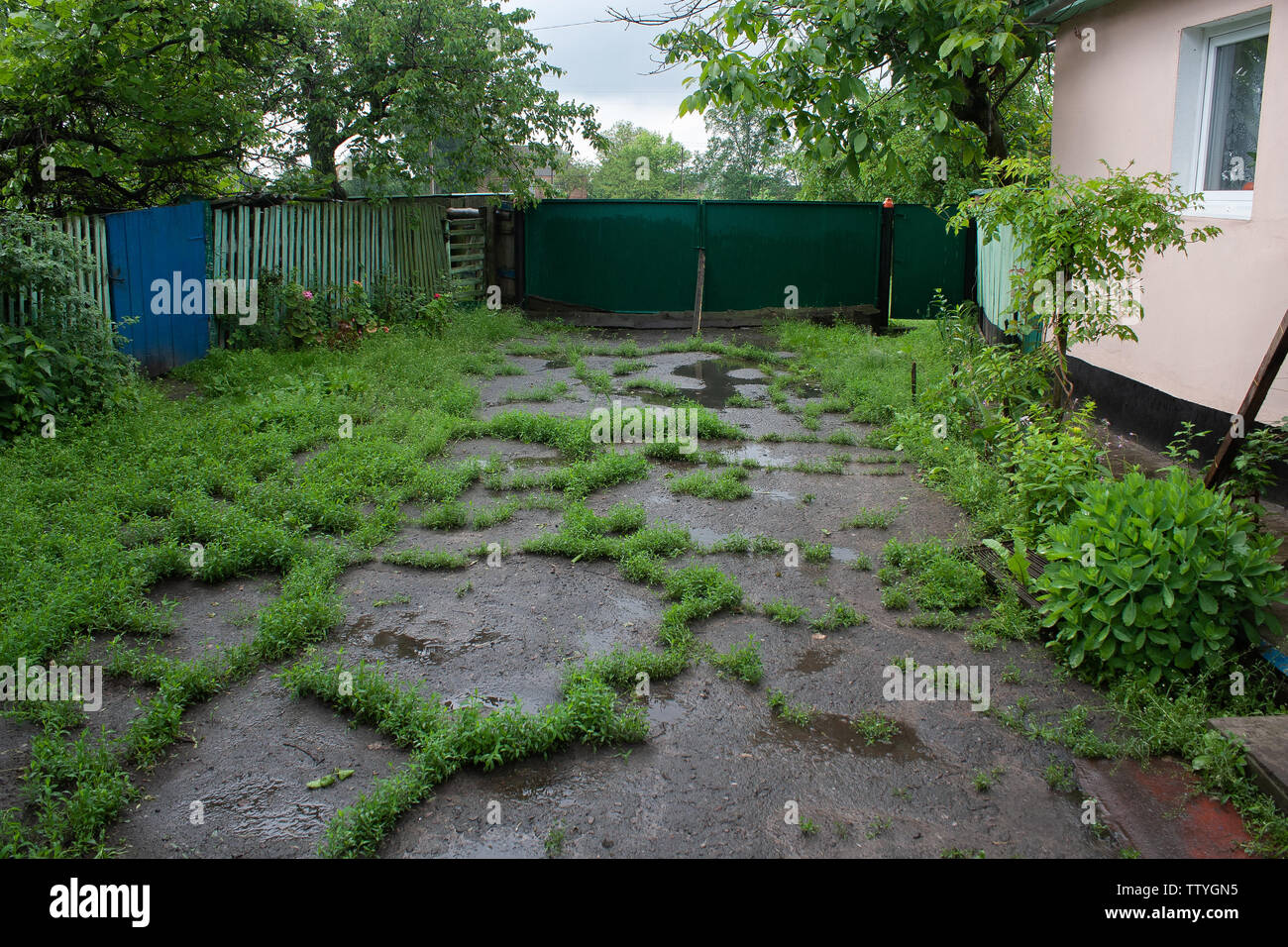 Cortile rurale dopo la pioggia ricoperta da erba con braccio e alberi Foto Stock