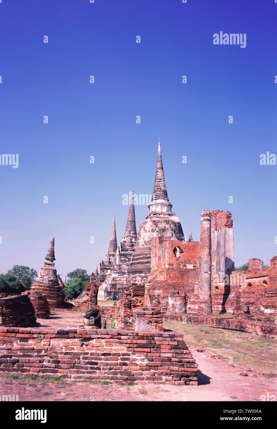 Antiche rovine di templi, Wat Phra si Sanphet, Ayutthaya, Thailandia Foto Stock