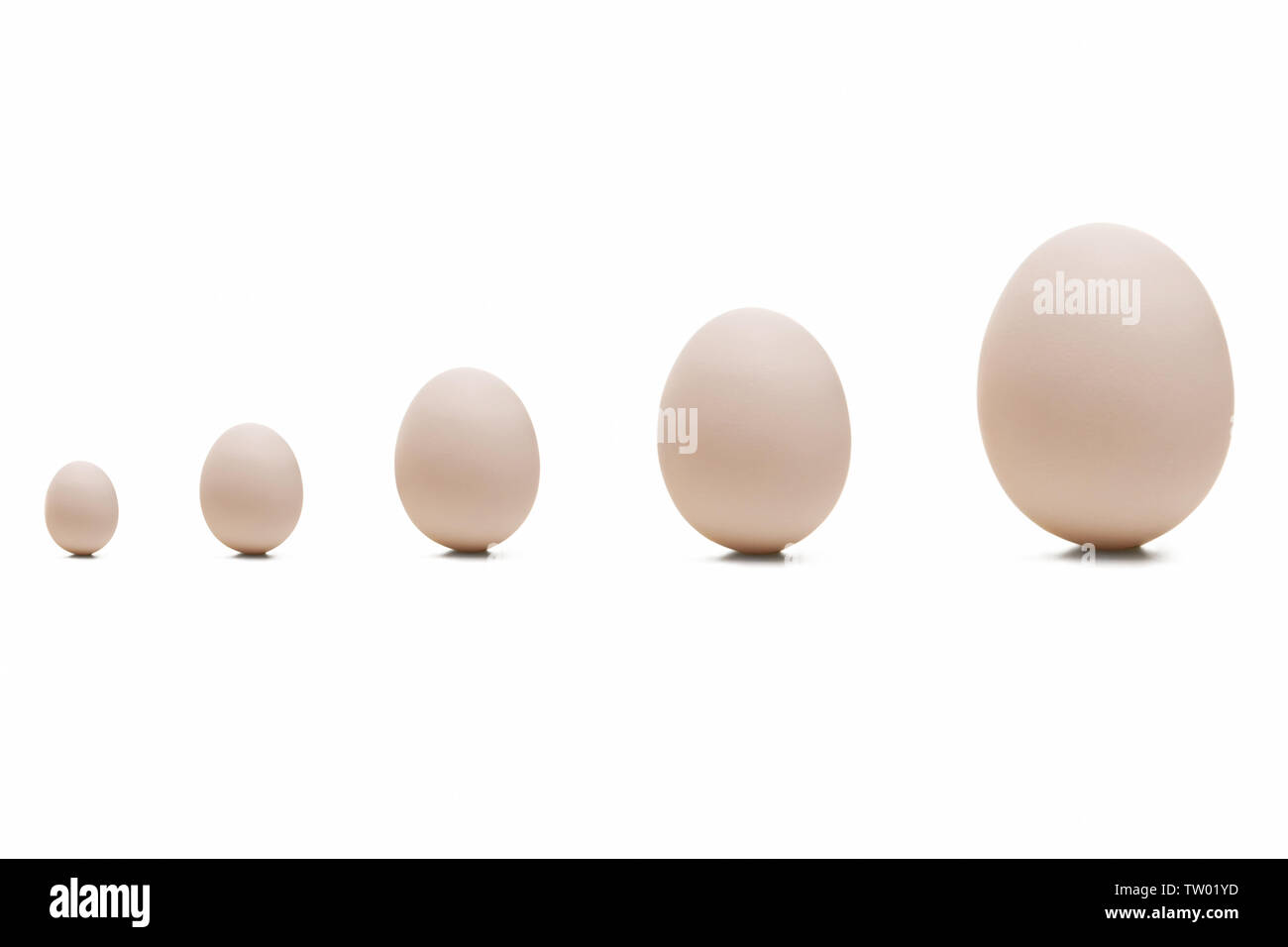 Primo piano di cinque uova Foto Stock