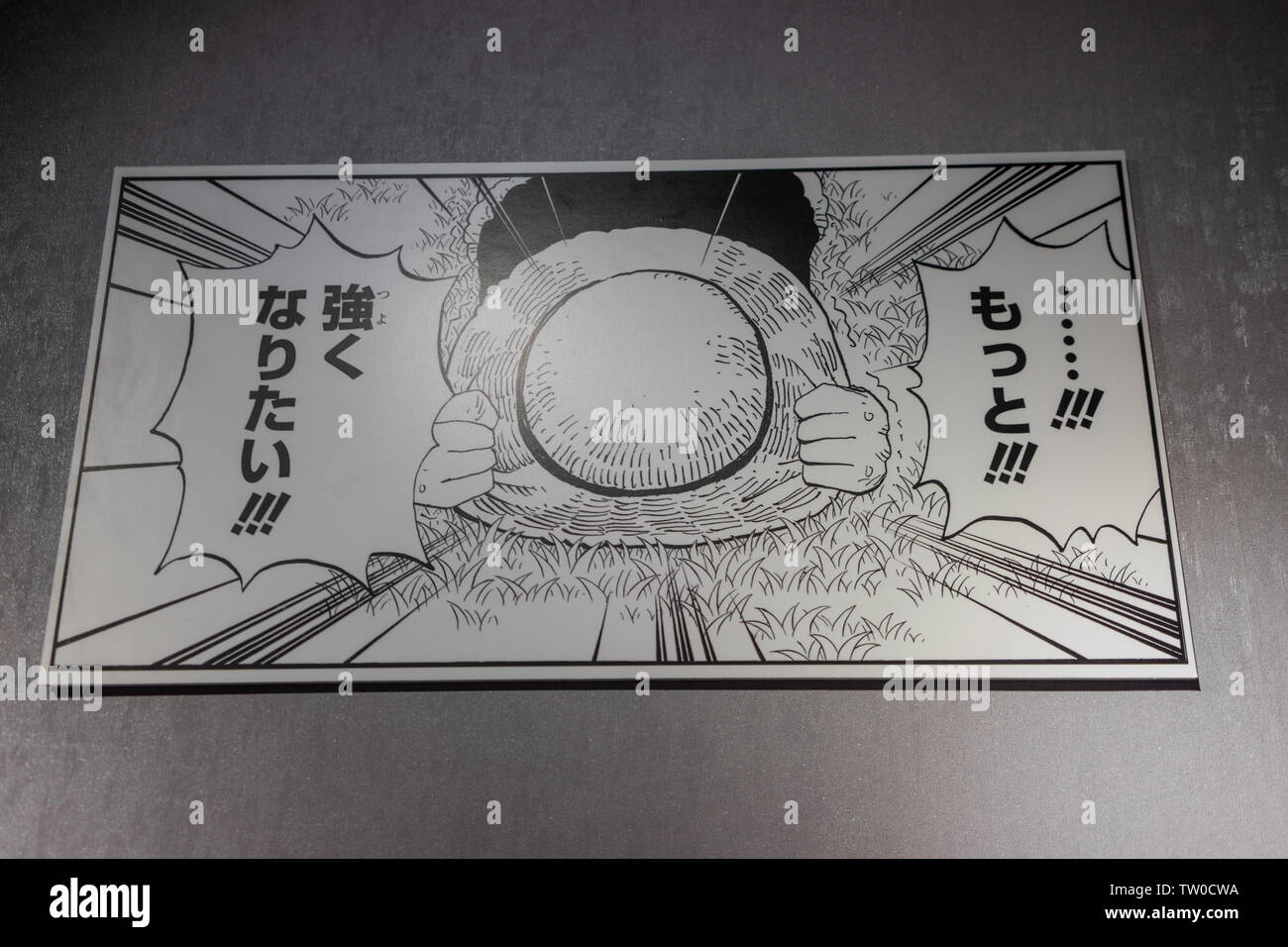 Re del mare ladro manoscritto Foto Stock