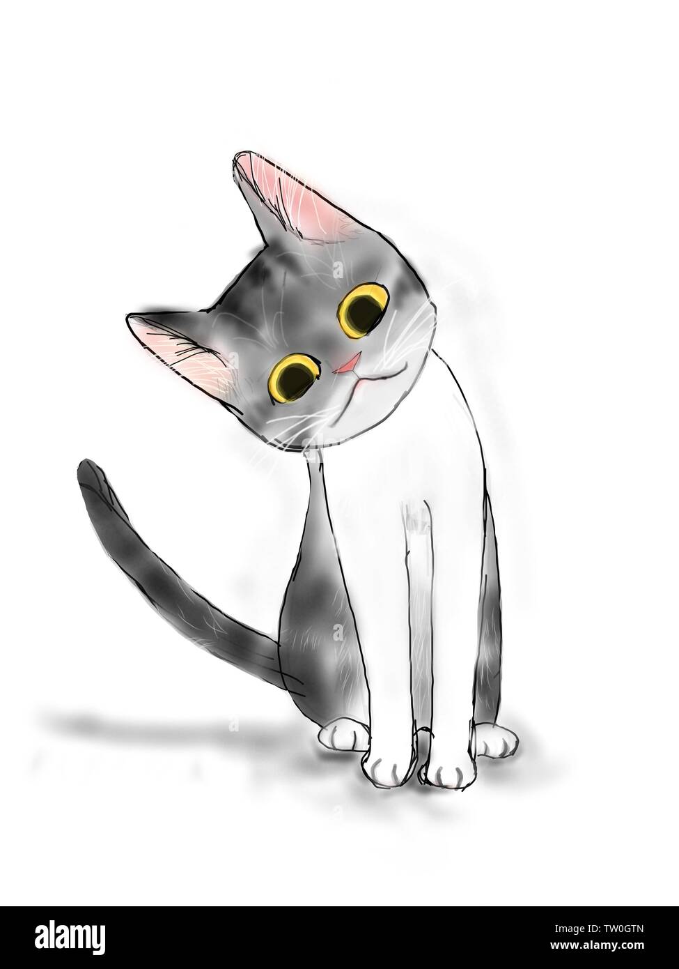 Descrizione Foto Stock