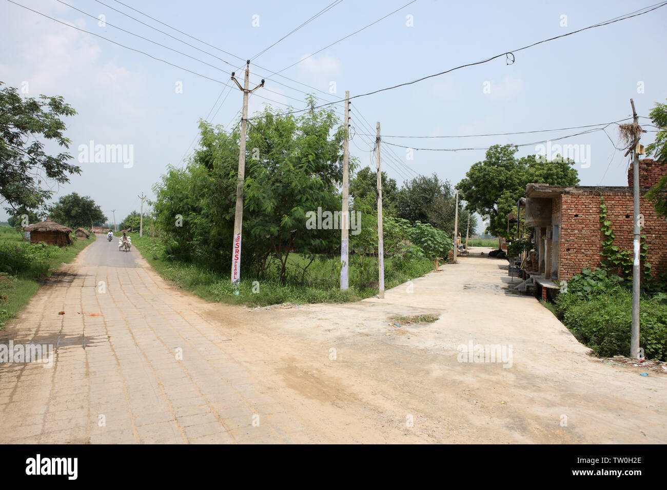 Tralicci di energia elettrica lungo la strada, India Foto Stock