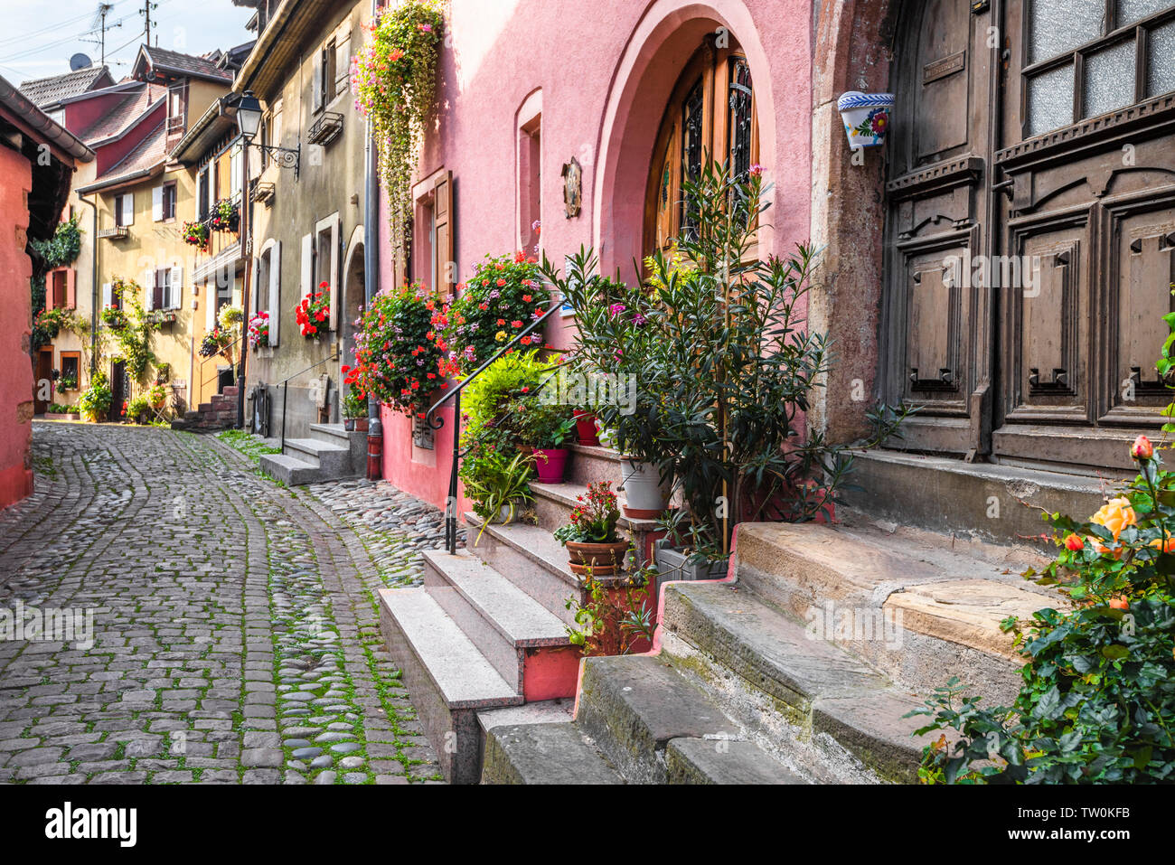 Corsia di ciottoli in Eguisheim, Alsazia, Francia, case della città vecchia lungo il muro della città Foto Stock