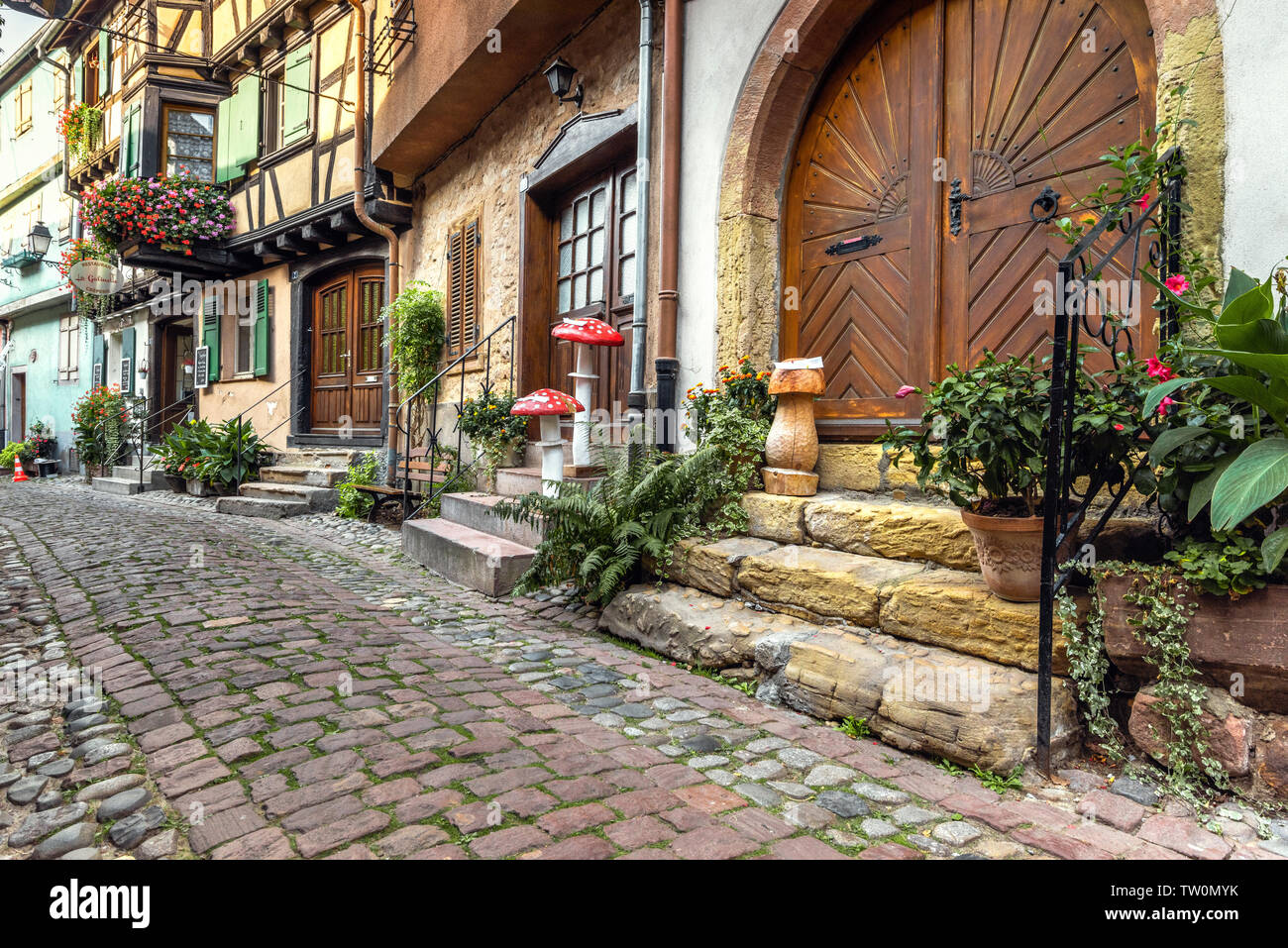 Case nel piccolo borgo vecchio Eguisheim, Alsazia, Francia, lane con case con travi di legno e decorazioni floreali Foto Stock