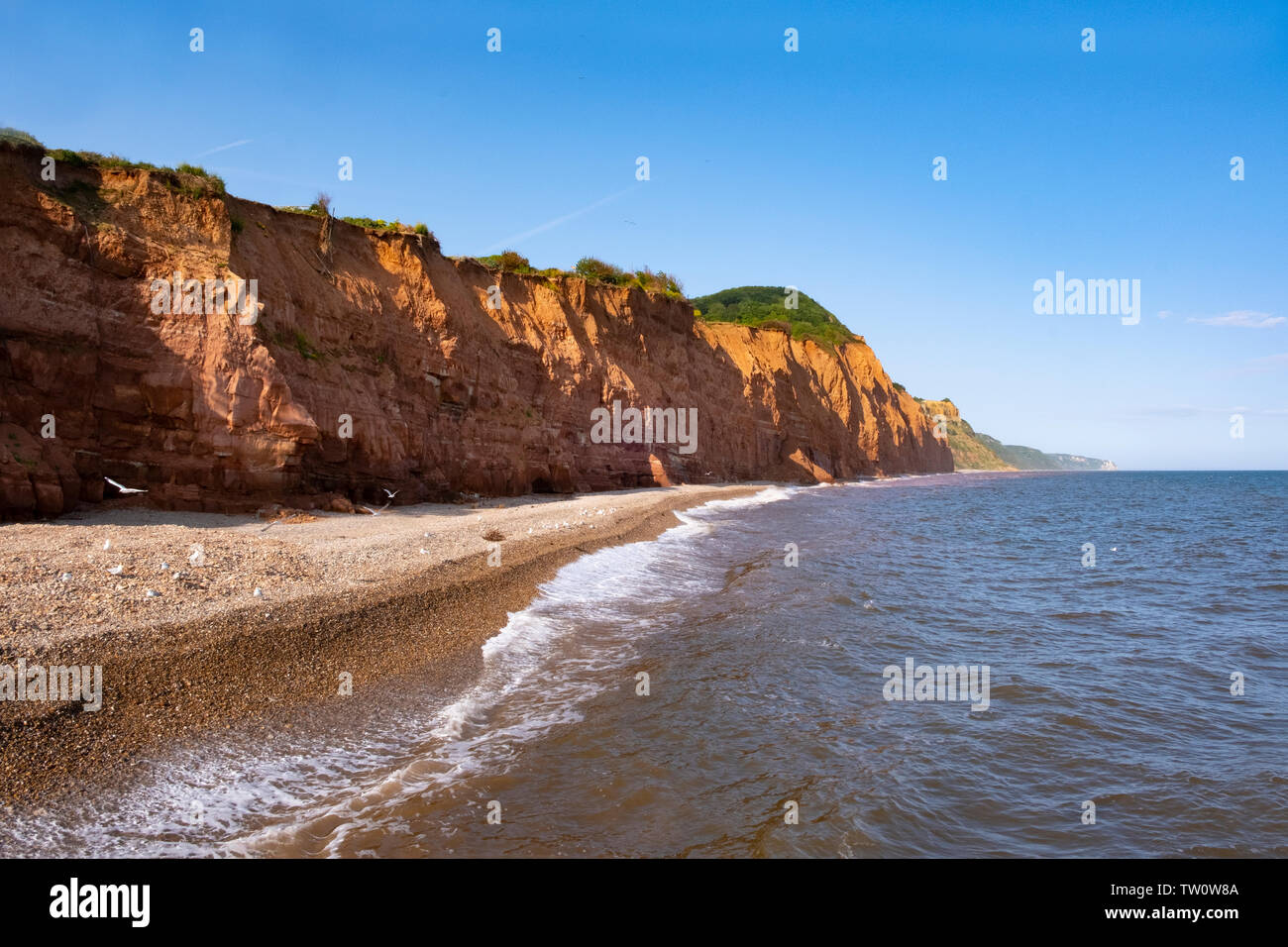 Pietra arenaria rossa a strapiombo sul Jurassic Coast vicino a Sidmouth, nel Devon, Regno Unito Foto Stock