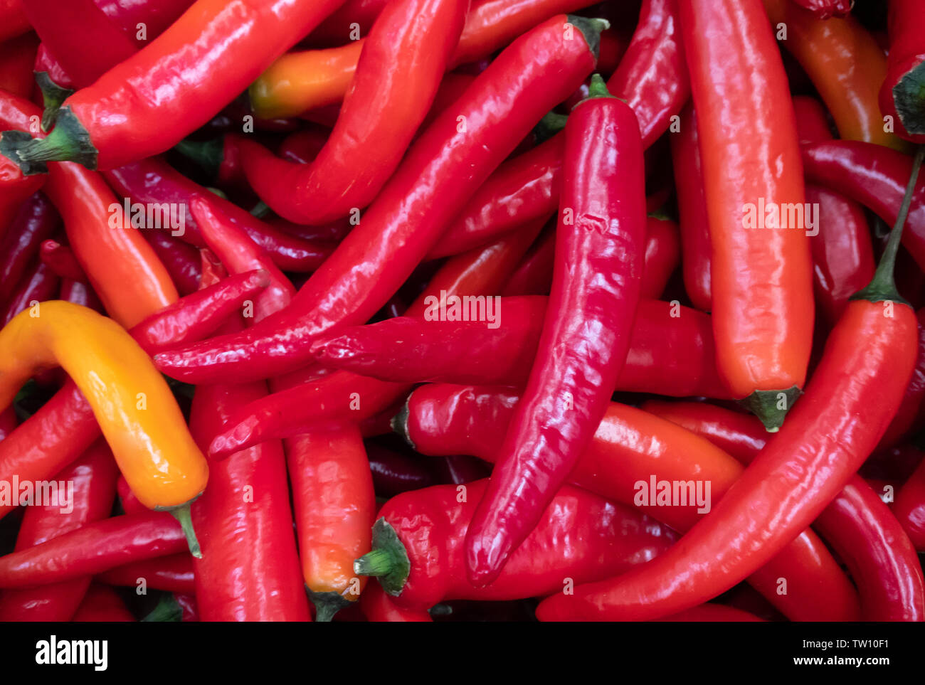 Peperoncini rossi sullo sfondo Foto Stock