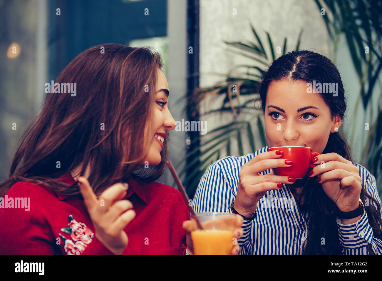 Immagine di un due ragazze felici amici seduti in cafe parlando gli uni con gli altri di bere caffè, indicando le dita a qualcuno. Foto Stock
