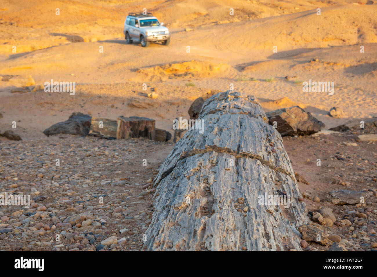 Legno fossile in territorio sudanese ghiaione deserto con un fuoristrada in background Foto Stock