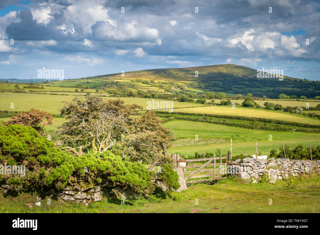 Uno dei molti confini che attraversano il paesaggio del Parco Nazionale di Dartmoor nel Devon, in Inghilterra. Foto Stock