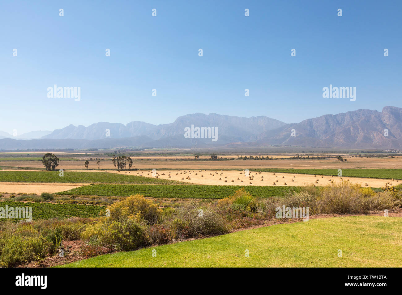 Breede River Valley durante il raccolto primaverile di balle di fieno, tra Robertson e Worcester con Langeberg Mountains, Western Cape, Sud Africa Foto Stock