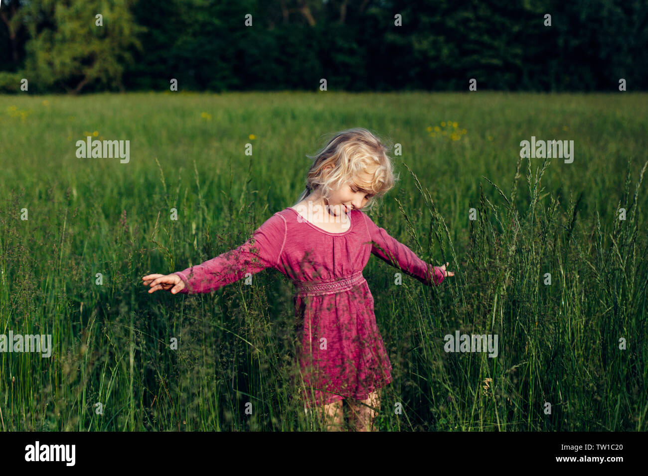 Carino adorabile bella caucasici di età prescolare ragazza camminare in alto erba sul prato al tramonto. Bambino felice kid godendo di estate. Stile di vita autentica Foto Stock