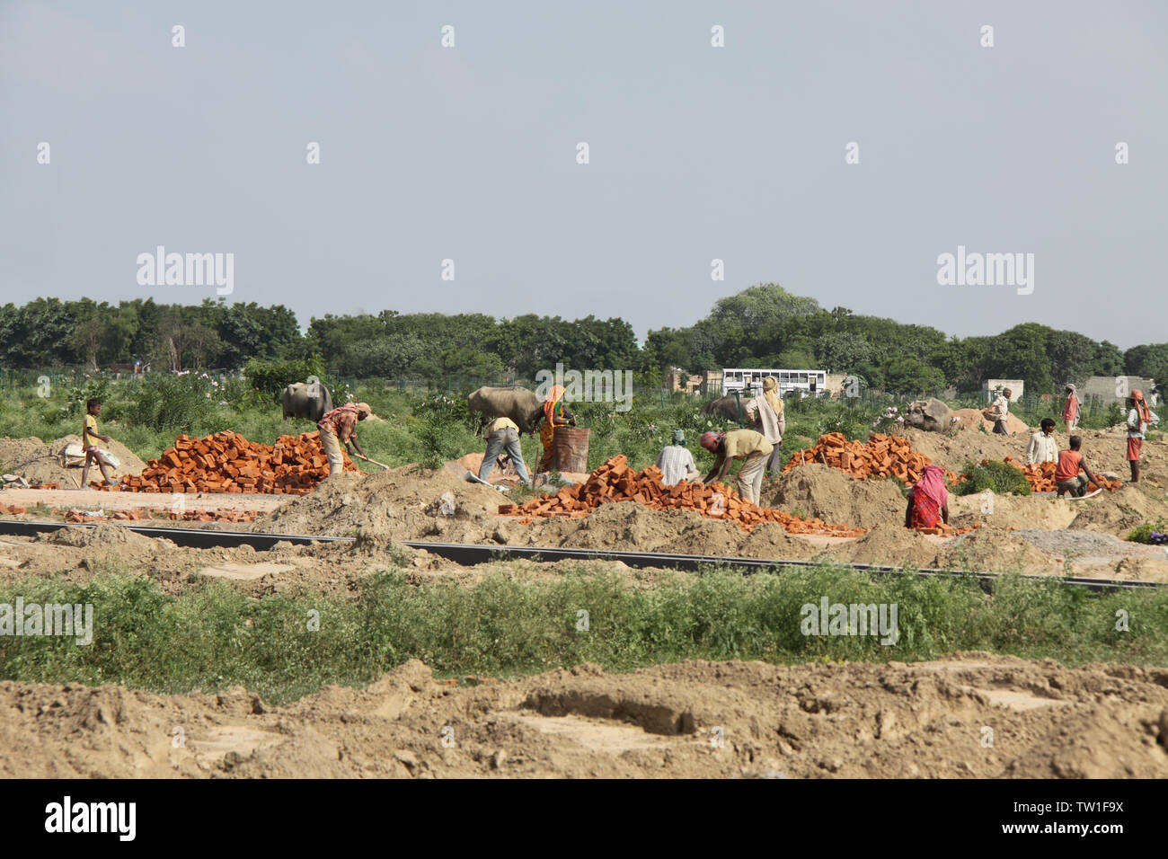 Lavoratori manuali che lavorano in un cantiere, India Foto Stock