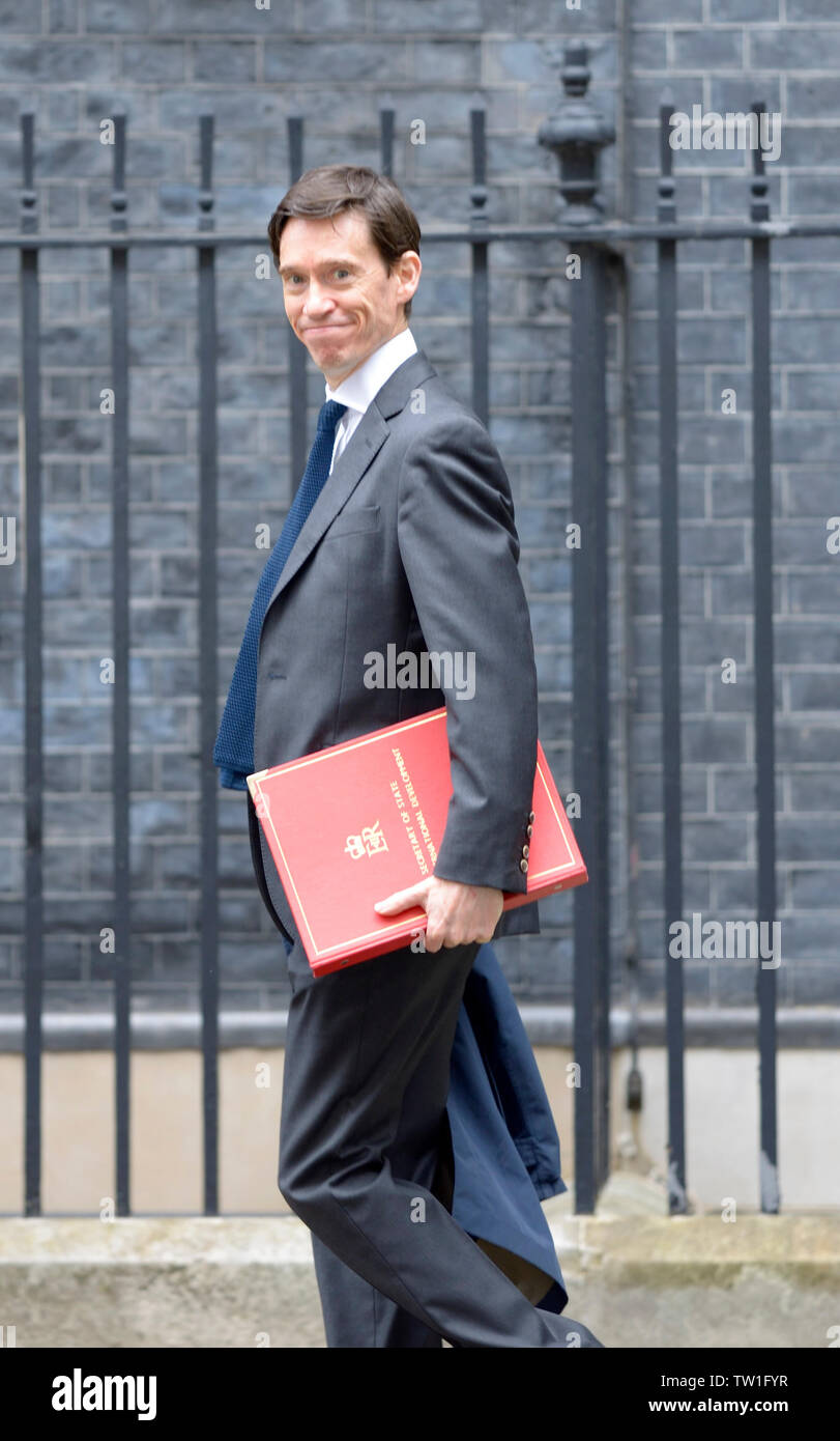 Londra, Regno Unito. Il 18 giugno, 2019. Rory Stewart (lo sviluppo internazionale) arriva a Downing Street per una riunione a n. 10 Foto Stock