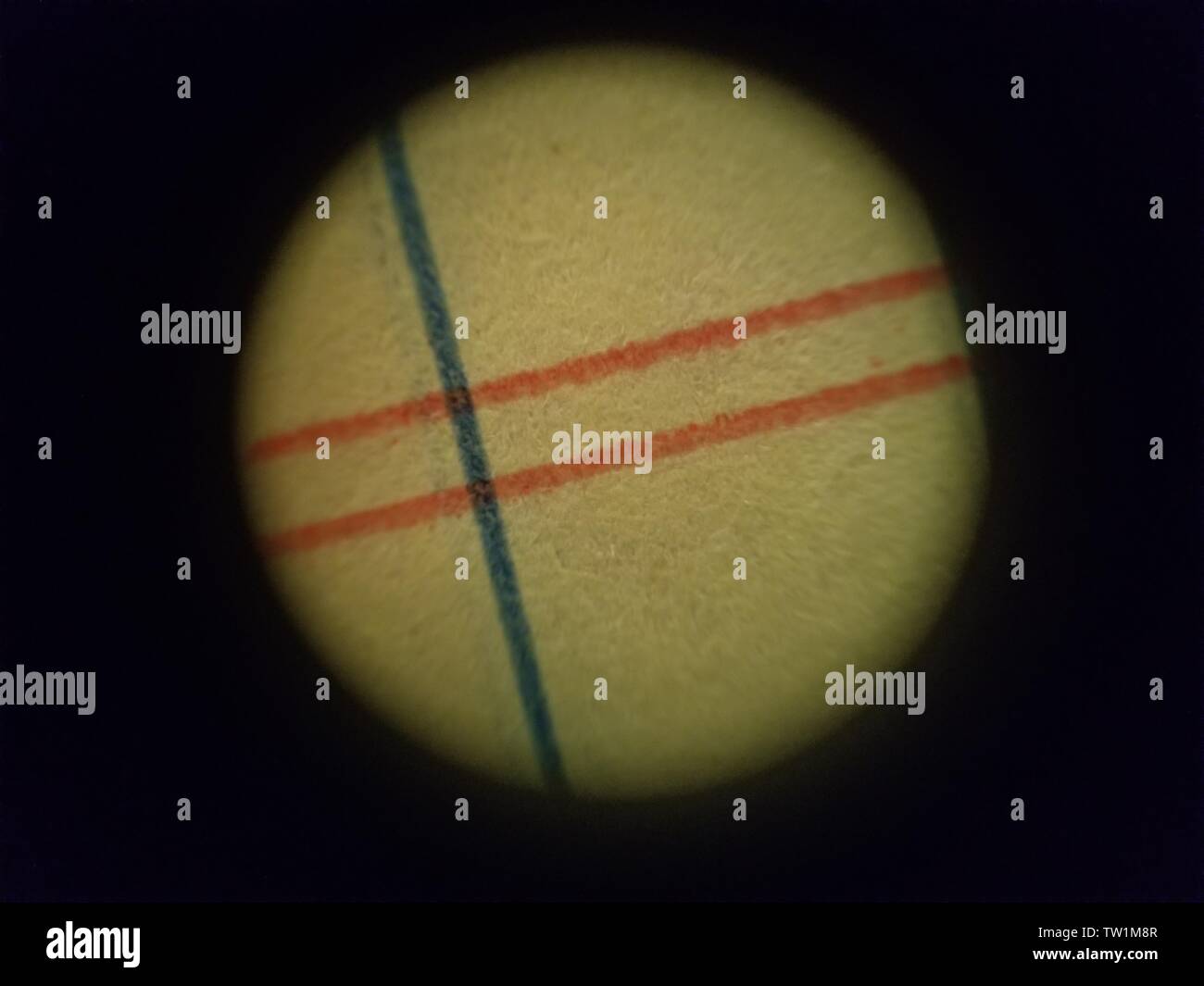 Immagine al microscopio di linee che si intersecano su un tampone di legali Quaderno, 25 maggio 2019. () Foto Stock
