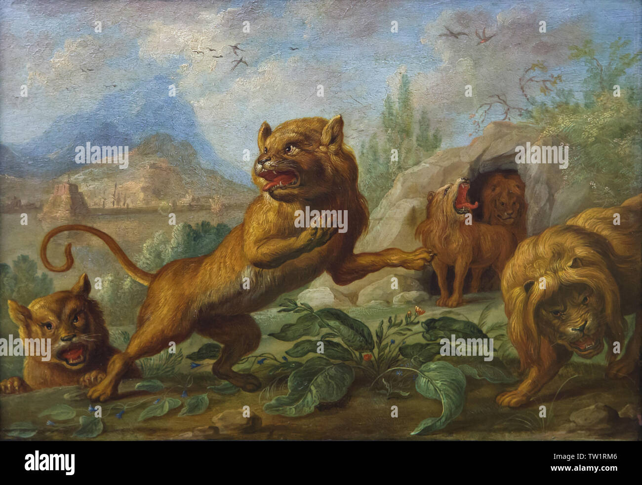 Leoni africani raffigurati nel dettaglio dedicata alla città di Tripoli nel dipinto 'Africa' dalla serie di dipinti " Quattro continenti' dal pittore fiammingo Jan van Kessel il Vecchio (1666) sul display Nella Alte Pinakothek di Monaco di Baviera, Germania. Foto Stock