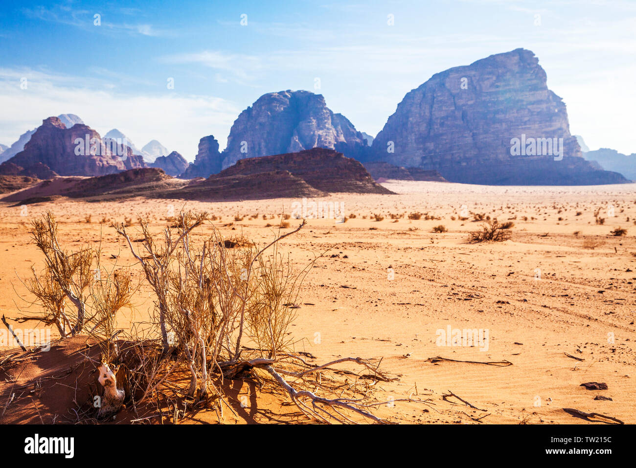 Le formazioni rocciose nel deserto giordano a Wadi Rum o a valle della luna. Foto Stock