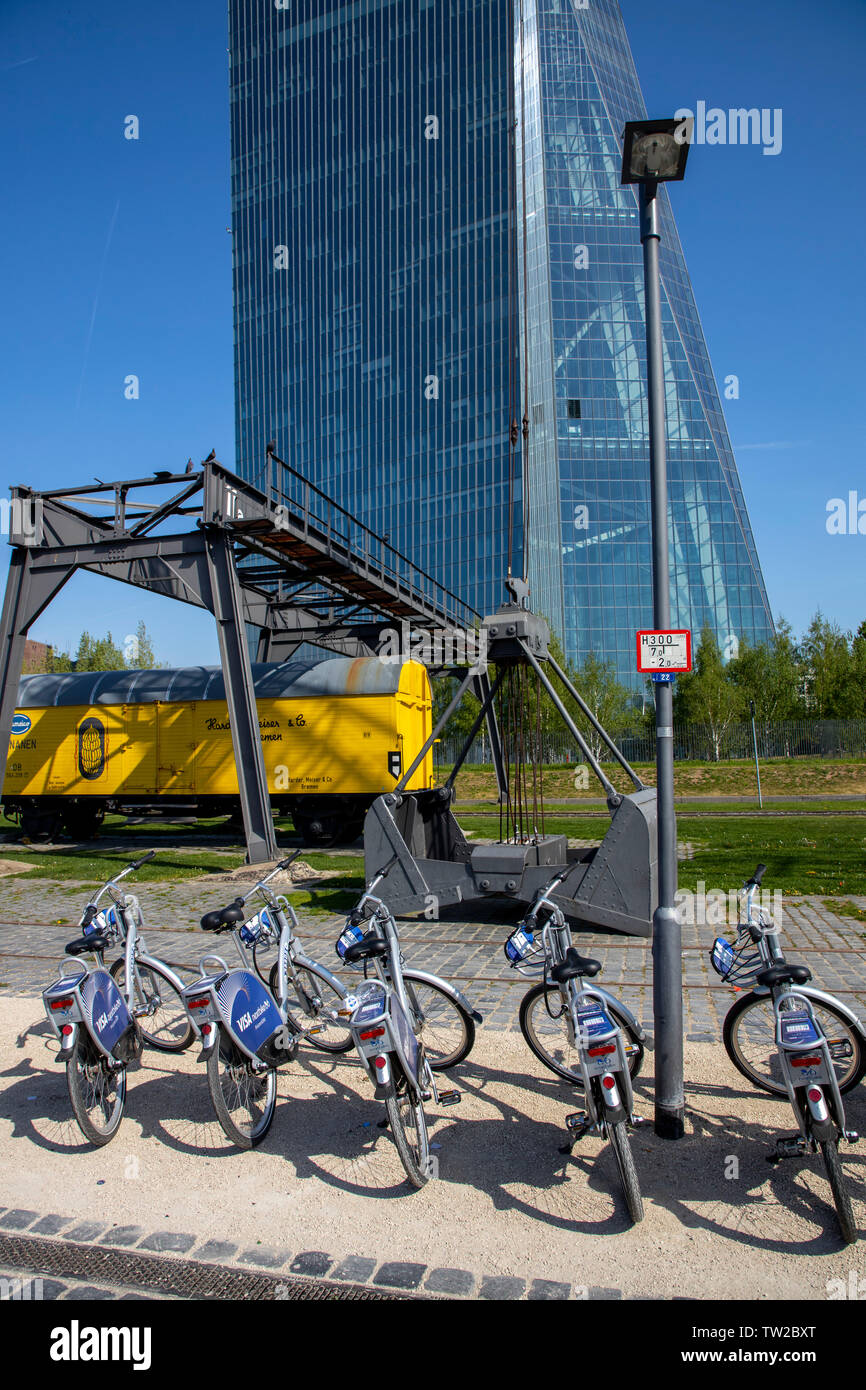 Frankfurt am Main, noleggio bici da Nextbike, Foto Stock