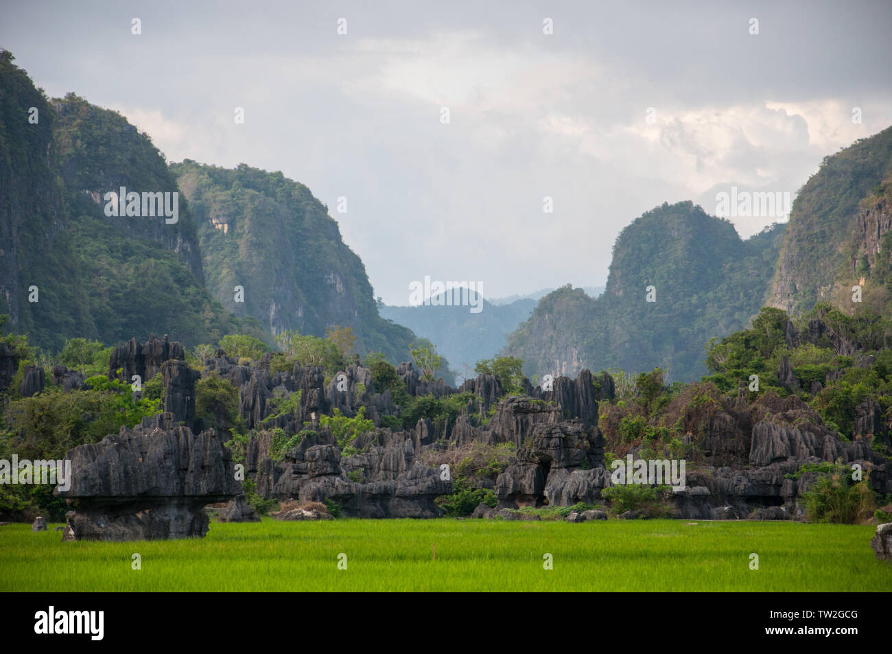 Maros, Indonesia - Giugno 2018 : paesaggio carsico con cupole di pietra calcarea e campi di riso. Foto Stock