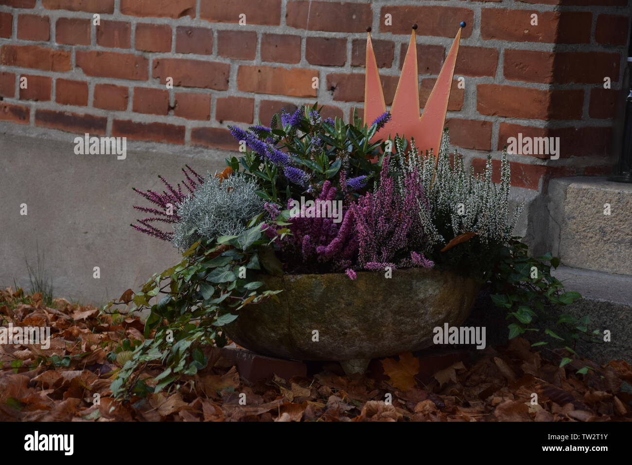 Blumentopf vor einer Hauswand mit Laub im Vordergrund Foto Stock